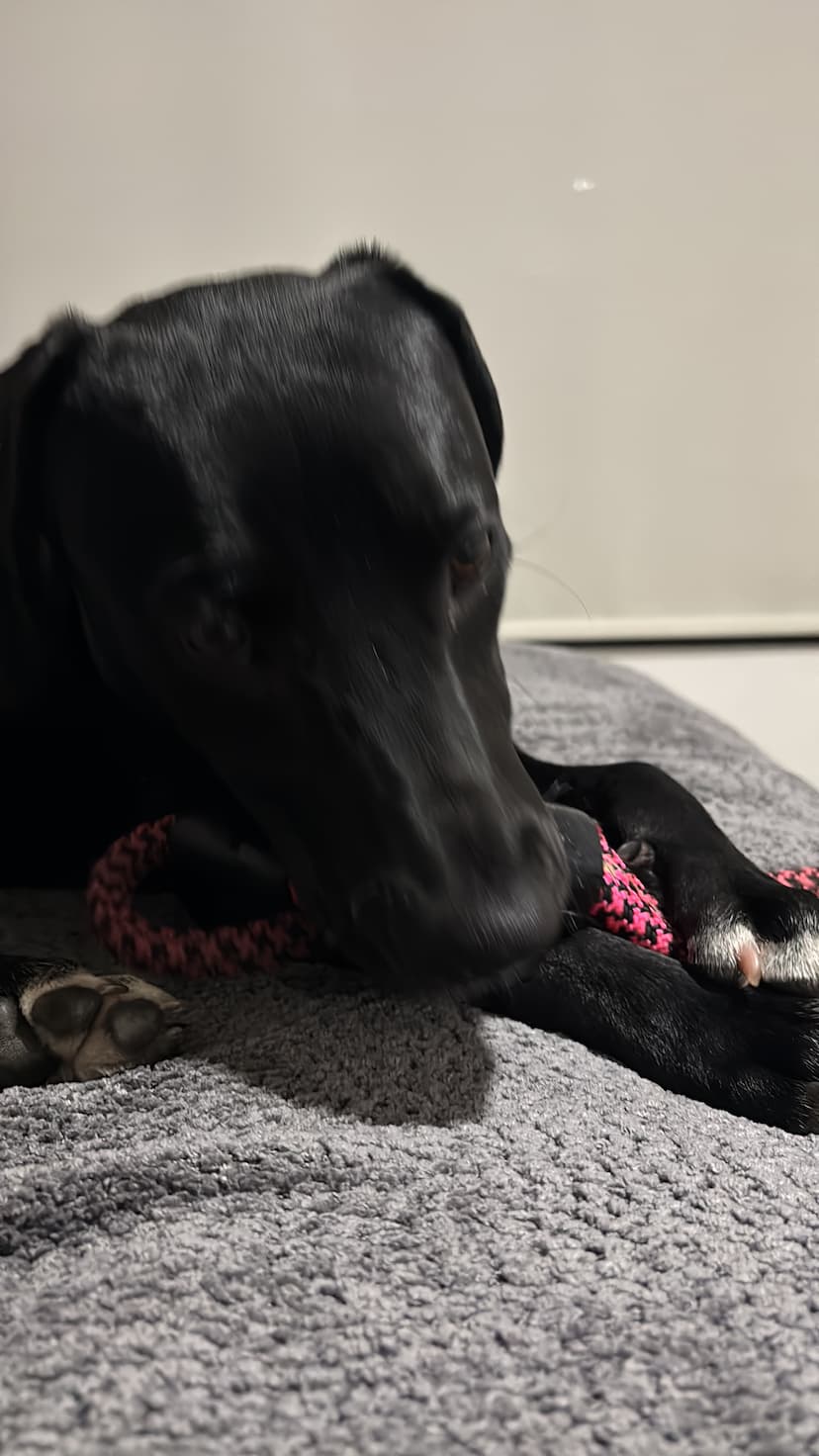 María Inés Domínguez Hernández